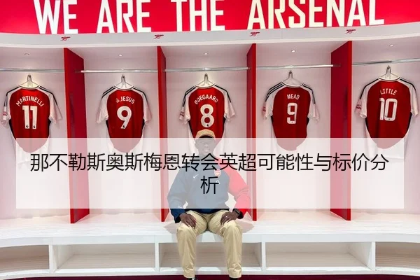 那不勒斯奥斯梅恩转会英超可能性与标价分析