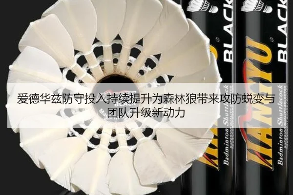 爱德华兹防守投入持续提升为森林狼带来攻防蜕变与团队升级新动力